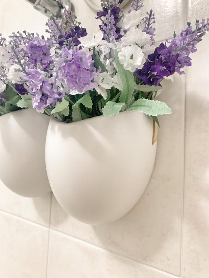 Grazia'S Apartment 萨萨里 外观 照片